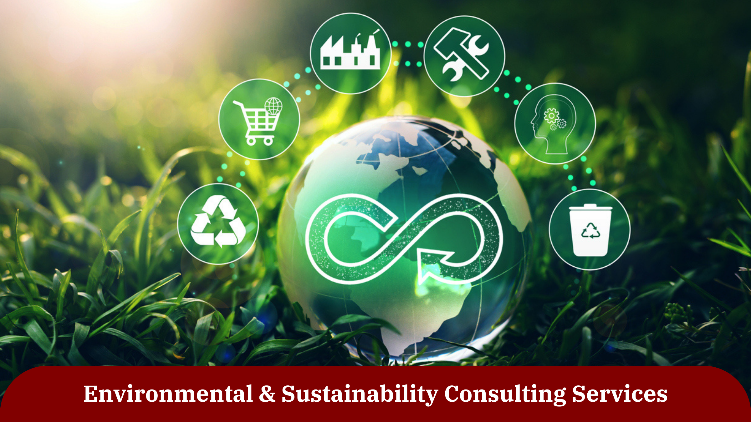 Environmental & Sustainability Consulting Services